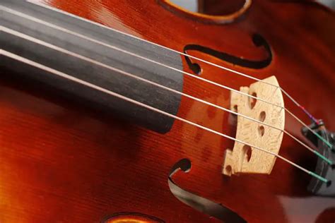 Viola Vs Violin 5 Key Differences Between The Two Instruments