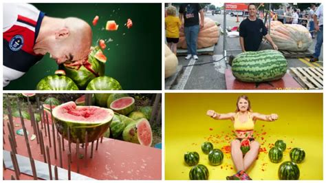 national watermelon day five records to celebrate the juicy fruit guinness world records