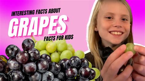 Grape Facts For Kids How Grapes Grow Educational Video For Kids