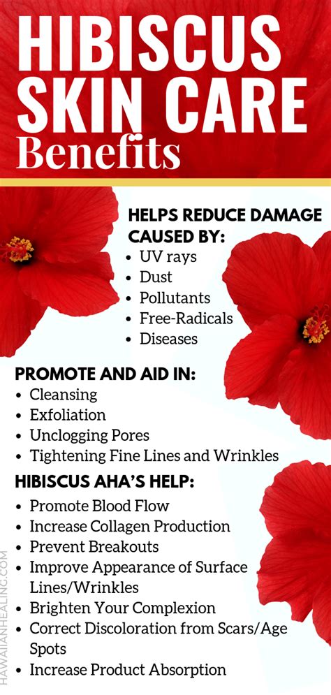 You have always seen this in garden or even at home. Meet Our Ingredients: Organic Hibiscus Flower Extract ...