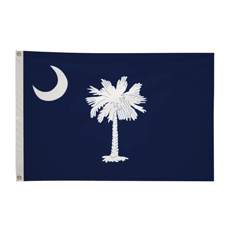 South Carolina 2 X 3 State Flag Fly American Flags