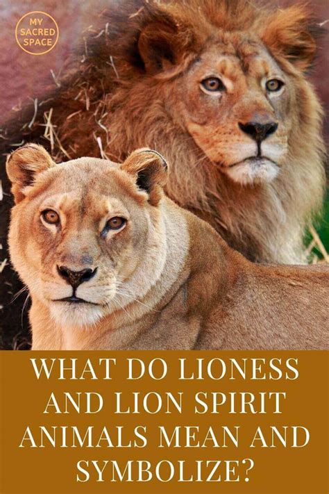 What Does A Lioness Represent Spiritually