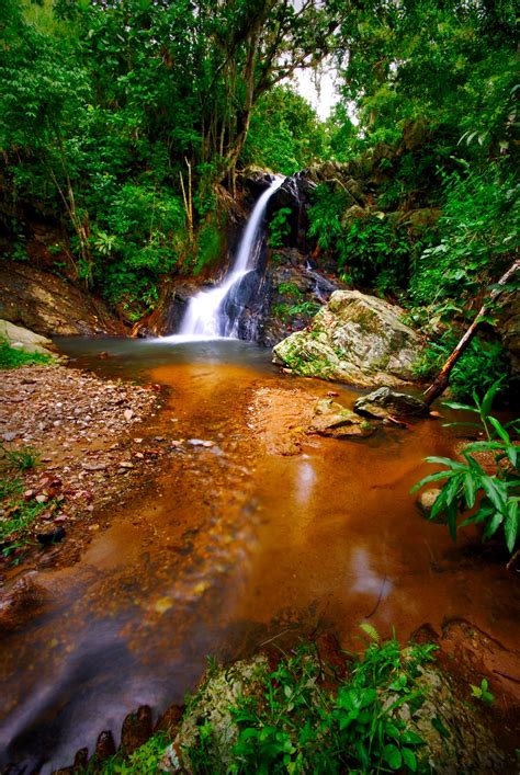 無料画像 風景 木 森林 岩 滝 クリーク 荒野 葉 川 ストリーム 反射 ジャングル 秋 水域 雨林 生息