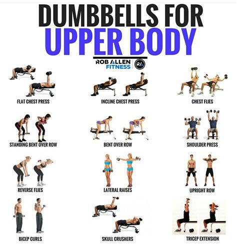 Upper Body Workout Dumbell Workout Fitness Body Upper Body Workout