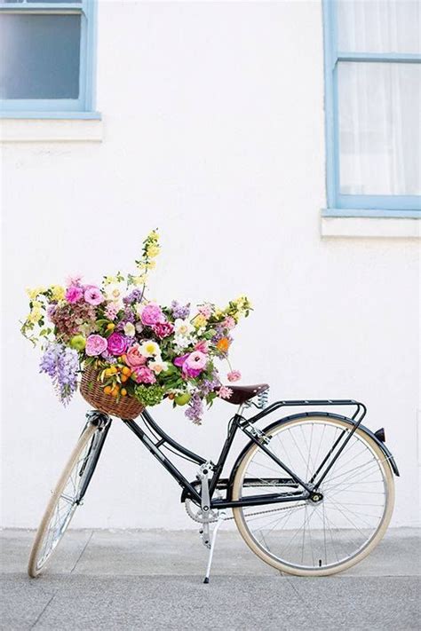 Bicycle Flower Basket Pictures Photos And Images For Facebook Tumblr
