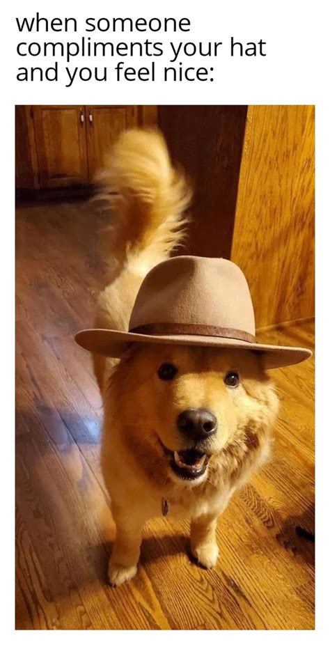 40 Random Funny Memes In No Particular Order Funny Gallery Ebaums