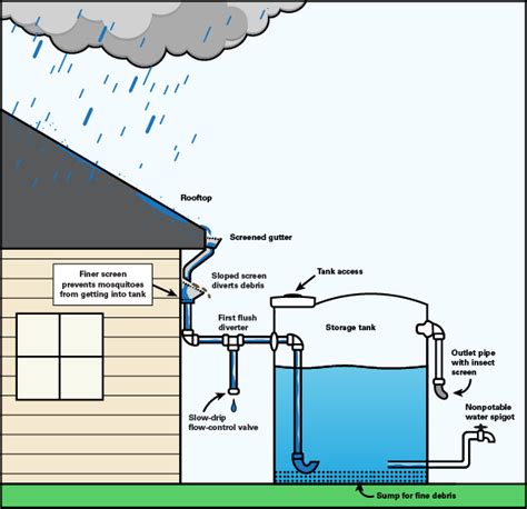 Mosquito Control For Rainwater Harvesting Systems Nc State Extension