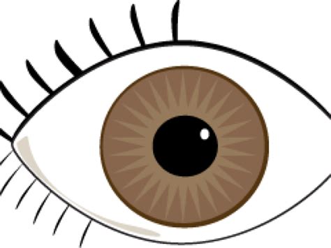 Download High Quality Eyes Clipart Real Transparent Png Images Art