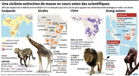 L extinction de masse des animaux s accélère Sciences et Avenir