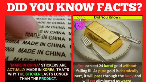 Amazing Facts That You Should Know 1 Did You Know Facts