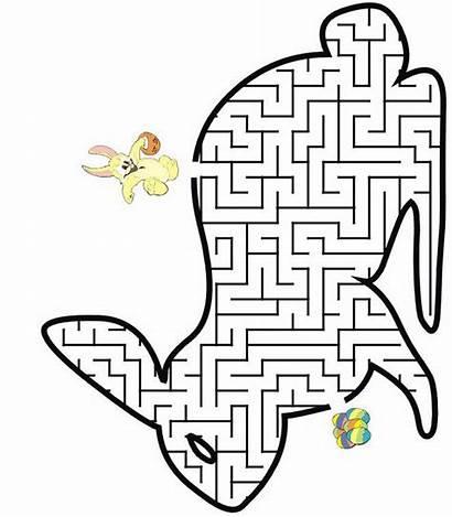 Maze Fun Puzzle Puzzles Doolhof Rabbit