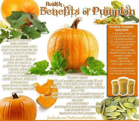 The Magickal And Medicinal Uses Of Pumpkin Pumpkin Health Pumpkin