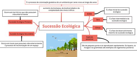 Mapa Mental Sucessão Ecológica Ictedu