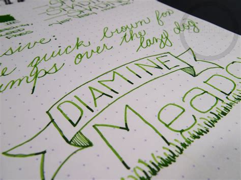 Diamine Meadow - Google Search | Fountain pen, Arabic ...