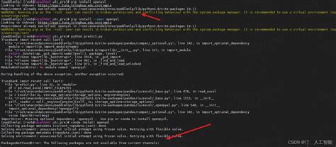 完美解决 ImportError Missing optional dependency openpyxl Use pip or conda to install openpyxl