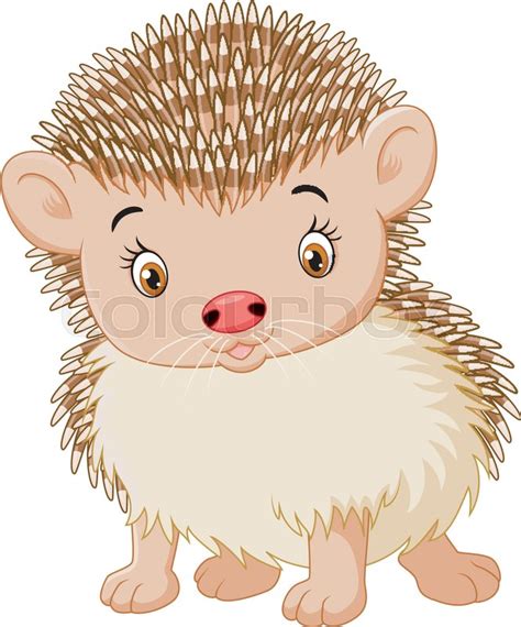 Illustration Of Cute Baby Hedgehog Stock Vector Colourbox