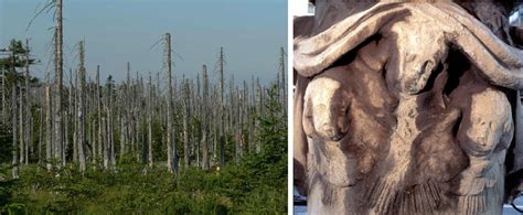 1. Effects of acid rain on a forest and a sculpture ...
