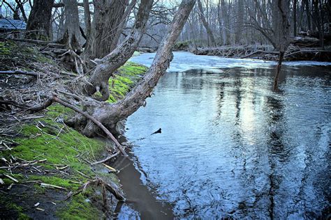 Rivers And Woods Photograph By Bonfire Photography Fine Art America