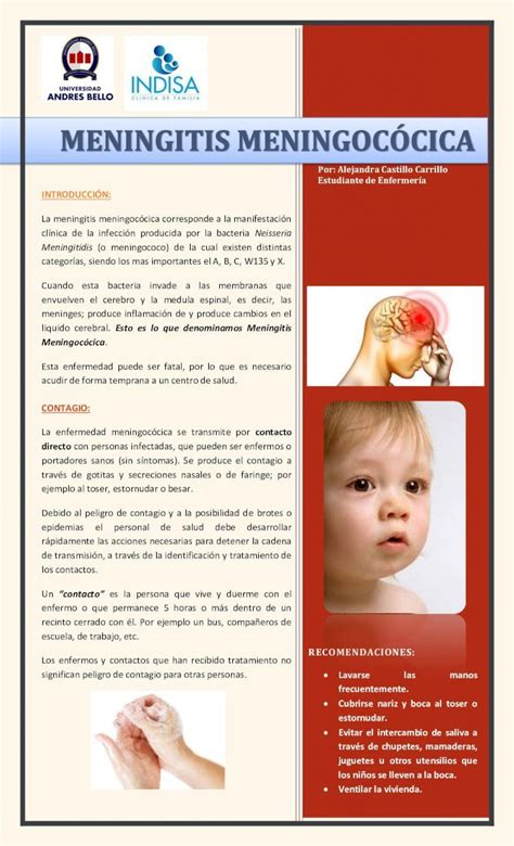 Pdf Folleto De Meningitis Meningocócica Dokumentips