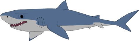 You may also like great white shark or reef shark clipart! mako shark clipart 10 free Cliparts | Download images on ...