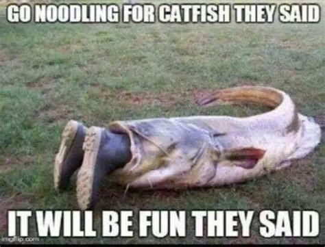 Noodling For Catfish Nope Nope Nope 👎🏼👎🏼👎🏼 Funny Fishing Pictures