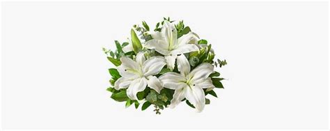 Photography Art And Collectibles White Lily Sympathy Flower Color