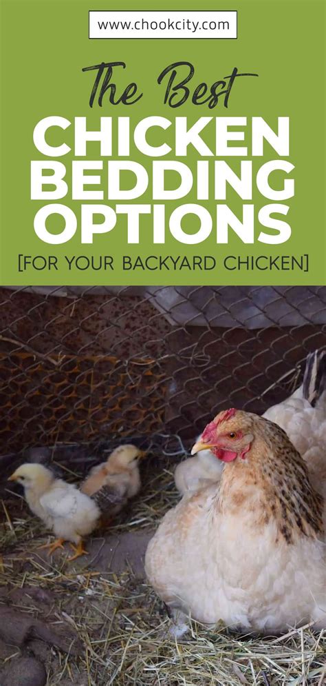 the best chicken bedding options inside chicken coop chicken coop bedding chickens backyard