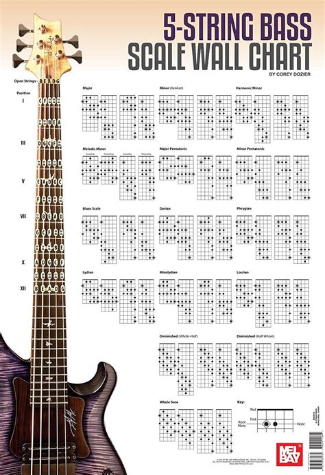 5 String Bass Scale Wall Chart Bass Guitar Scales Bass Guitar Notes Bass Guitar Lessons