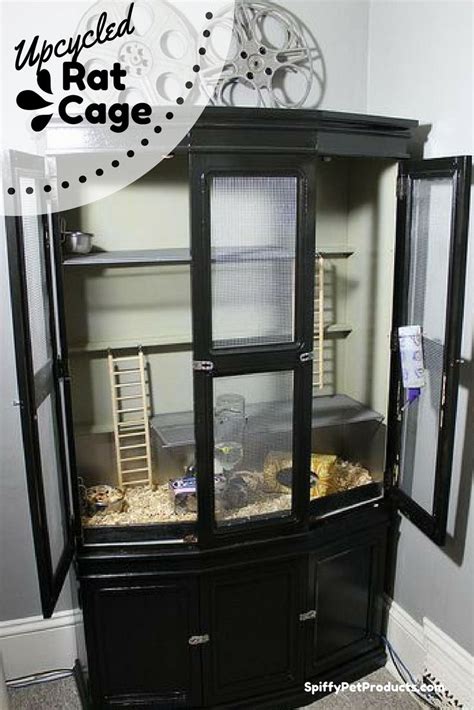 7 Pet Rat Cage Ideas You Have Got To See To Believe Spiffy Pet