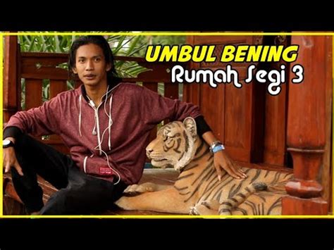 Sesampainya di sana, kulihat rumahnya kok sepi, tidak seperti biasanya (biasanya ramai sekali), lalu kugedor pintu rumah tanteku. Rumah Segi Tiga Di Banyuwangi Umbul Bening - YouTube