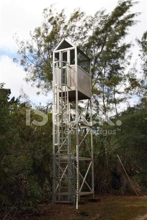 Bird Watching Observation Tower Stock Photo Royalty Free Freeimages