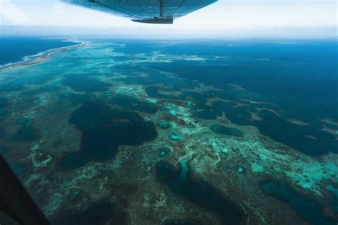 Geraldton Excursão De Meio Dia Ao Lago Rosa E Abrolhos De Avião Getyourguide