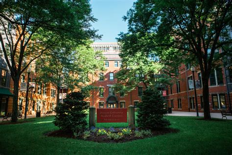 Boston University School Of Medicine Requirements Infolearners