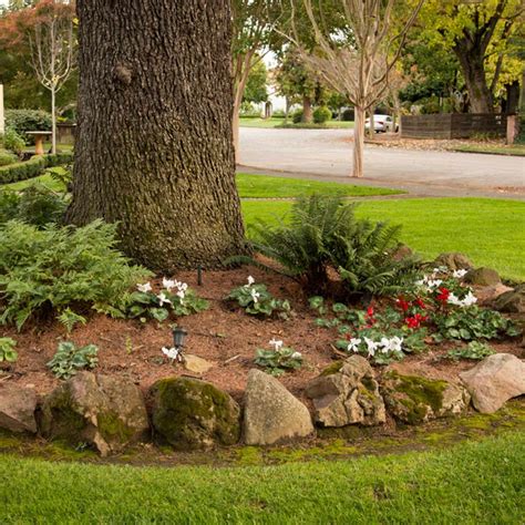 36 Front Yard Landscaping Ideas Around Trees Pics Garden Design