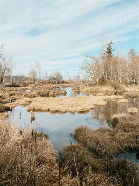 Visiting The Nisqually Wildlife Refuge Loving Life Moore