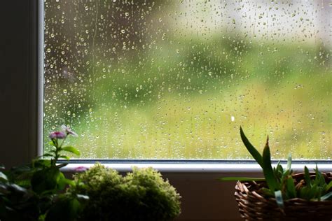 Rainy Season Tips in Maintaining Your House - MyProperty.ph