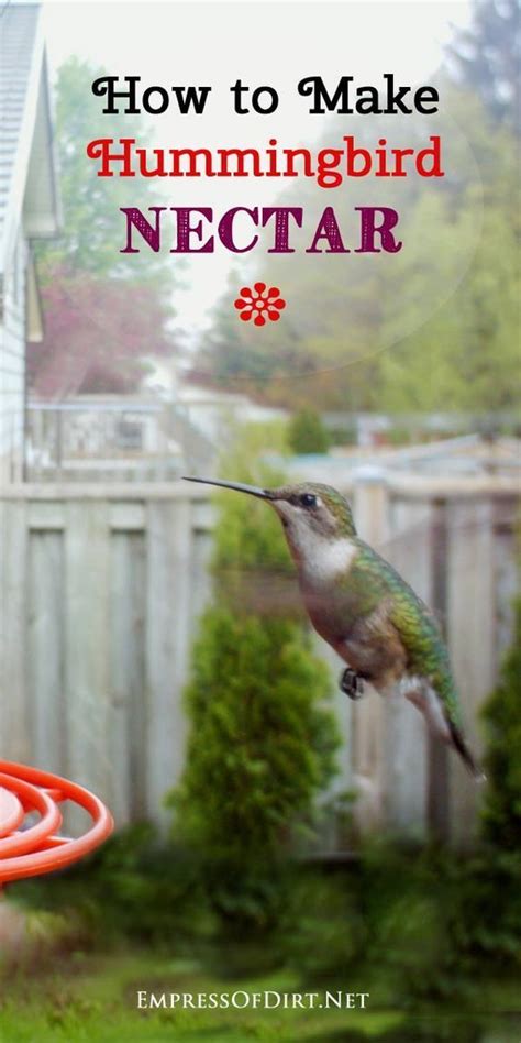 Maybe you would like to learn more about one of these? How to Make Sugar Water for Hummingbirds | Humming bird ...