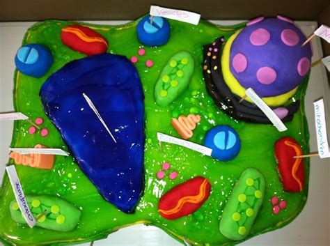 Plants are also composed of infinite cells like animals different cellular activities are associated with cell walls and other organelles. Plant Cell Cake - CakeCentral.com