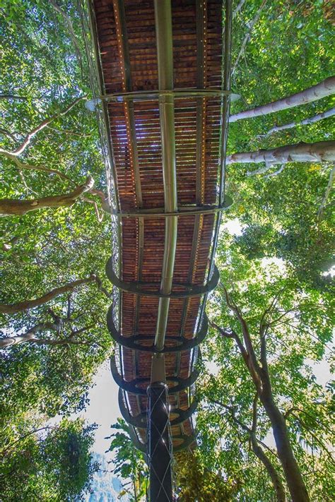 This Canopy Walkway In Cape Town Allows You To Walk High Above The
