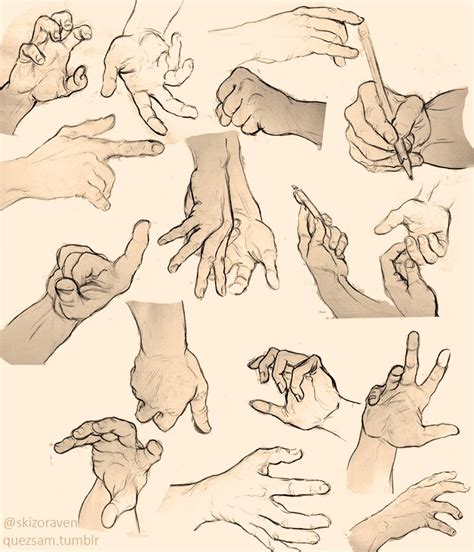 Pin By Cora Harris On Art Hands Anatomy Sketches Drawing Poses Hand