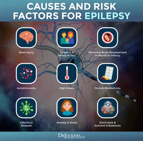 Epilepsy Risk Factors And Natural Support Strategies