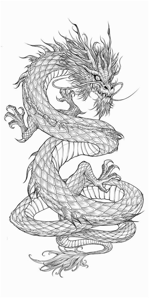 dragon tattoo colour dragon tattoo stencil dragon head tattoo dragon tattoo drawing dragon