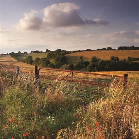 Open Field Scenery Nature Aesthetic Nature Photography