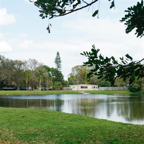 Trulia St Pete Fl