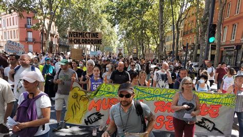 Manifestations Anti Pass Sanitaire 3 500 Personnes à Toulouse Ce