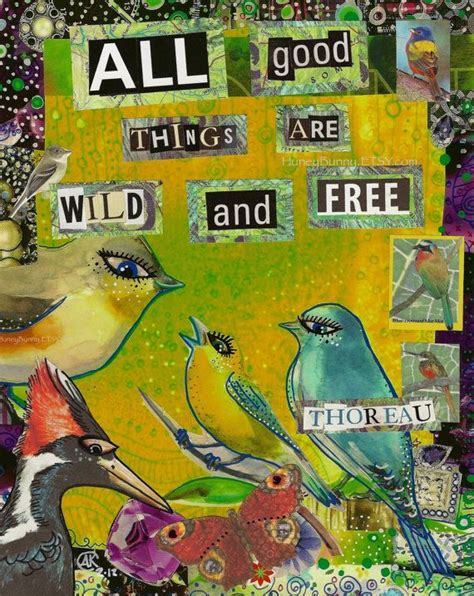 All Good Things Are Wild And Free Bird Art Wild And Free Mixed