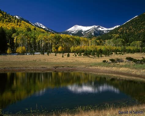 Flagstaff Az One Of My Favorite Places On Earth Az Flagstaff