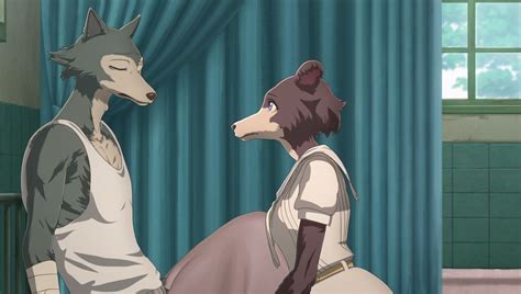 Beastars And The Pain Of Forbidden Love