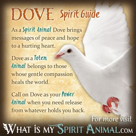 Dove Symbolism And Meaning Spirit Totem And Power Animal 2022