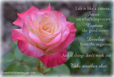 I'm squid liking this and also linking it to my. A Fabulous Monday and an Inspirational Quote - Flower ...